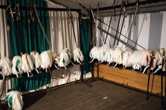275-DSC02790